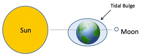 How Do The Earth Moon And Sun Affect Tides - The Earth Images Revimage.Org