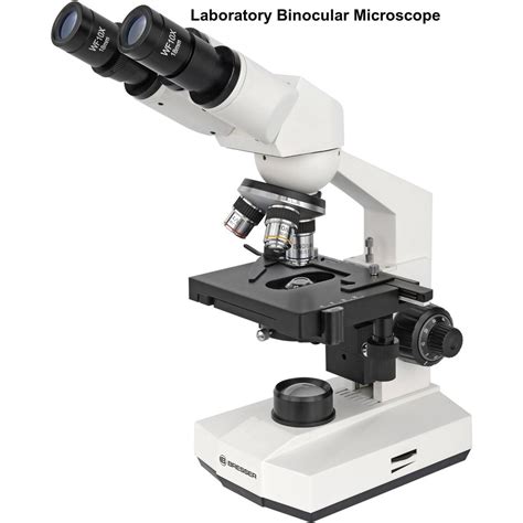 Aluminium Laboratory Binocular Microscope Halogen At Rs 35000 Piece In