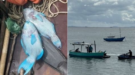 Dupla é presa por pesca ilegal na praia da Barra homens pescaram