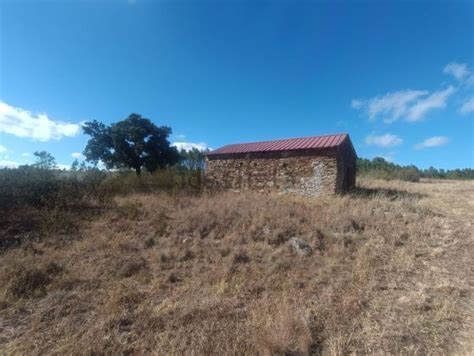 Terreno à venda em Salgueiro do Campo Castelo Branco idealista