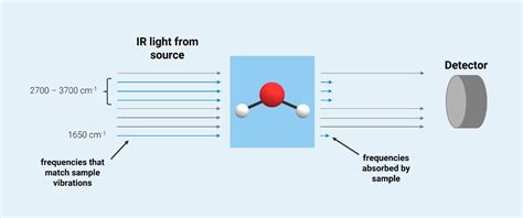 Guide To Ft Ir Spectroscopy Bruker