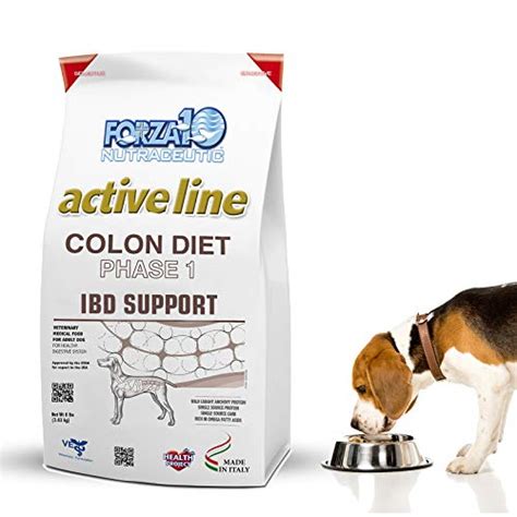 Best dry dog food for constipation - Gegu Pet