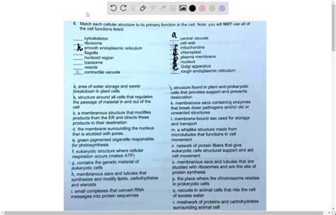 SOLVED: Texts: Drag the correct description under each cell structure ...