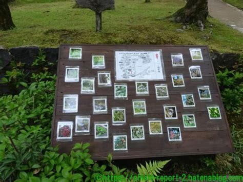 【奈良】春日大社 萬葉植物園（萬葉園エリア） 万葉集に登場する植物の標本展示 仏像、ときどきワンダー観光