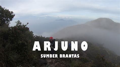 Pendakian Gunung Arjuno Via Sumber Brantas Malang Youtube