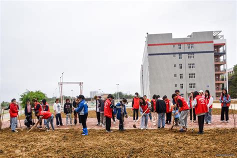 广西培贤国际职业学院官网 外国语学院“学习雷锋精神 践行社会主义核心价值观”主题党团日活动——植树