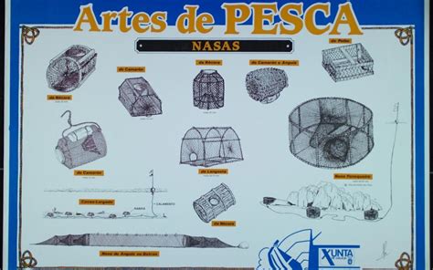 El Arte De La Pesca Artesanal Nasas Miguel Médicis Congelados Marinos