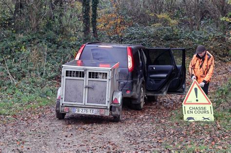 Jagd erhitzt in Frankreich Gemüter