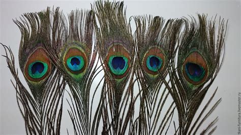 Ярмарка Мастеров - ручная работа, handmade | Работы, Павлин, Флористика
