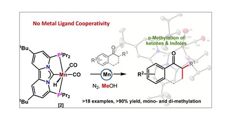 α Methylation of Ketones and Indoles Catalyzed by a Manganese I PCNHCP