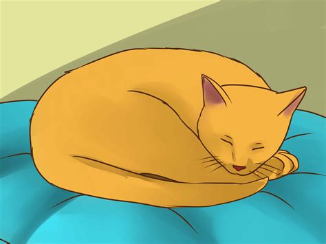 4 Ways to Treat Lice in Cats - wikiHow