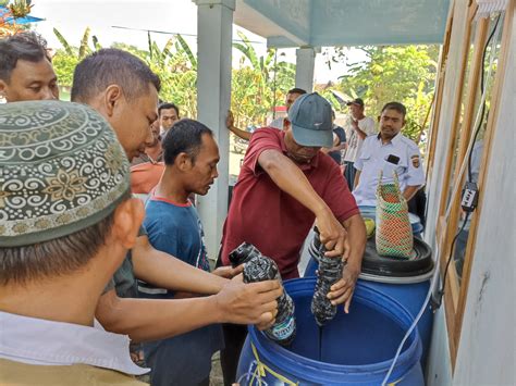 Integrasi Tanaman Ternak Dalam Pelaksanaan Integrated Farming System