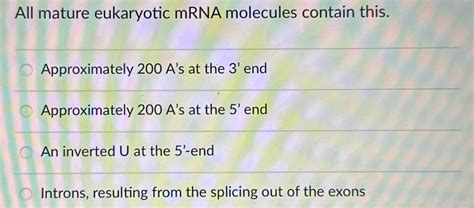 Solved All Mature Eukaryotic MRNA Molecules Contain Chegg