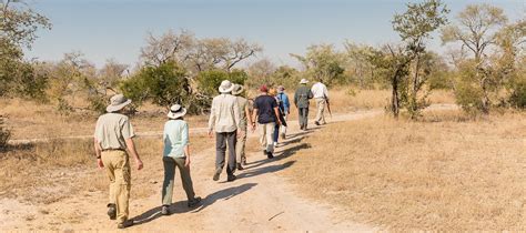 Guided Bush Walks Safari Activities Experienced Guides