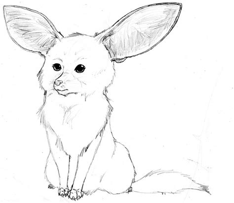 Fennec Fox Doodle By Nightwindwolf95 On Deviantart