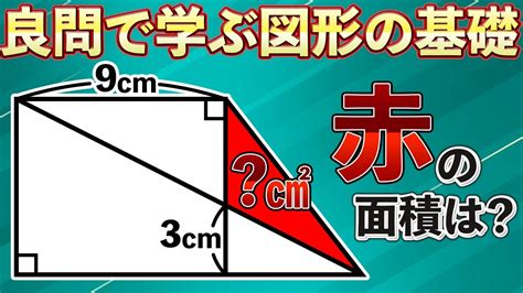 【頭の良い人しか解けない図形のトリック】小学生が解く算数の問題でヒラメキを体感しよう【中学受験の算数】 Youtube