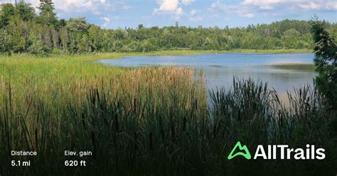 Oak Ridges Trail Association Side Trail Secords Pond Ontario Canada