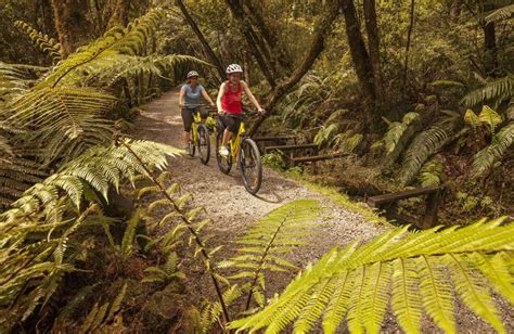 Cycle Journeys West Coast Wilderness Trail West Coast Nz