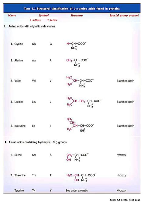 SOLUTION Amino Acids In Proteins Studypool