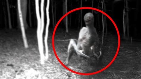 5 Extraterrestrials Caught On Camera Spotted In Real Life Aliens