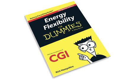 Energy Flexibility For Dummies