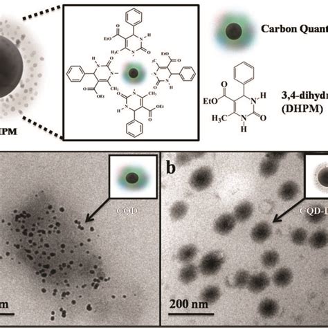 Photoluminescence Spectra Of A CQD And B CQDDHPM Nanocomposite