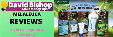 Is Melaleuca An Mlm Company A Scam Or A Legit