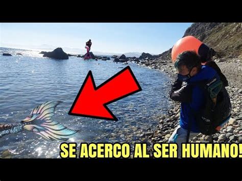 Sirena Real Captada Tienes Que Ver Esto El Canto De Las Sirenas Esta