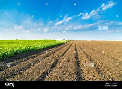 Arable Land Hi Res Stock Photography And Images Alamy