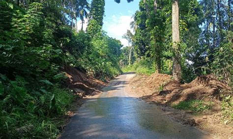 Sempat Tertutup Longsor Akses Jalan Lingkar Danau Maninjau Sudah Bisa