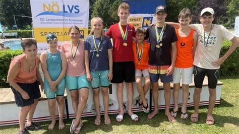 Schwimmen Südstadt Schwimmer räumen bei Landesmeisterschaft ab NÖN at