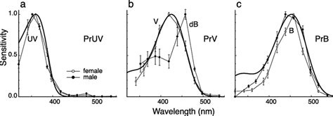 Average Spectral Sensitivity Curves Error Bars Indicate SEs Of The