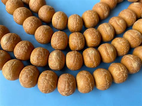 Full Strand Bodhi Barrel Beads 13 14 Mm 14 15 Mmbodhi Spacer Etsy