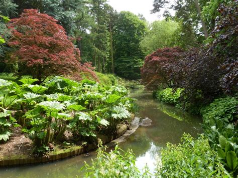 Cottesbrooke Hall Gardens - Northampton | NGS Gardens