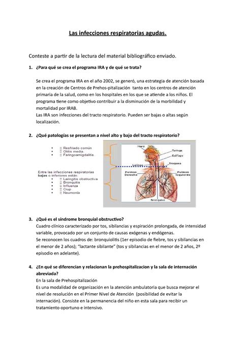 Las Infecciones Respiratorias Agudas Conteste A Partir De La Lectura