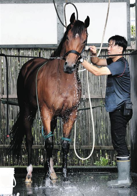 【秋華賞・枠順確定】モリアーナ4枠8番に武藤師「理想」天気崩れる予報も歓迎「重になった方がいい」：中日スポーツ・東京中日スポーツ