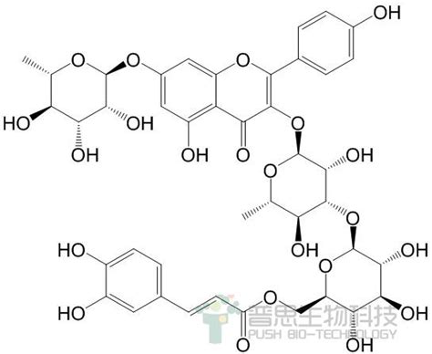 普思生物山柰酚 3 O （6 O （e） 咖啡酰基 β D 吡喃葡萄糖基 （1→3） α L 吡喃鼠李糖苷） 7 O α L 吡喃鼠李糖苷