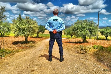 Gnr Reforça O Patrulhamento Para Prevenir Incêndios Rurais Sintra