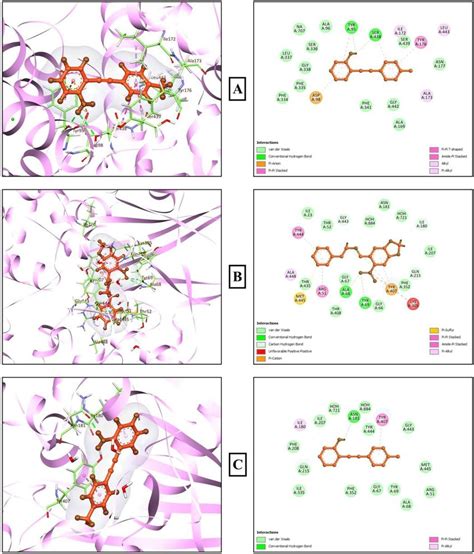 Best Ranked Docking Poses Left And 2d Visualizations Of The