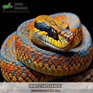 How to Tame a Snake: Proven Techniques for Socializing Serpents