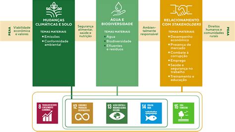 SLC Agrícola Relatório de Administração 2020