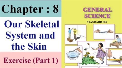 Our Skeletal System And The Skin Class 6 Exercise Part 1 Youtube