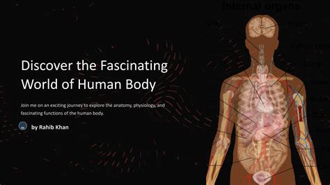 Unraveling The Fascinating World Of Human Body Diagram