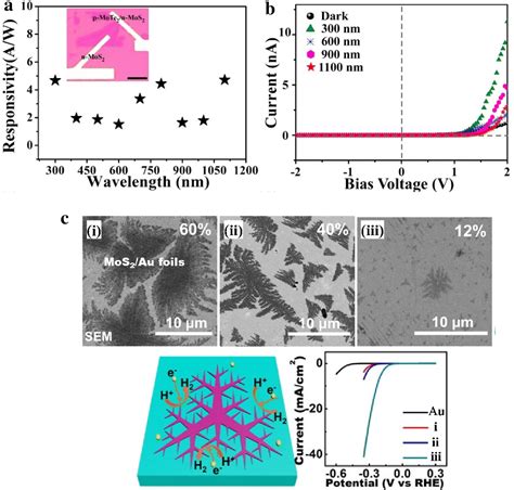 Synthesis Of 2D Transition Metal Dichalcogenides By Chemical Vapor