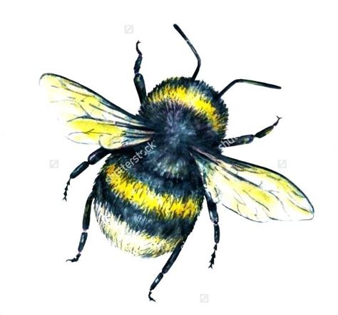 Cute Bee Drawing Free Download On Clipartmag