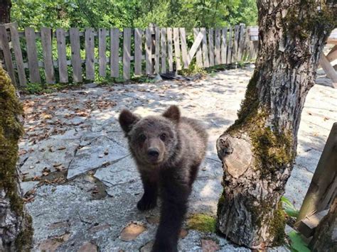 Danas Sjutra I Preksjutra Potpuna Obustava Saobra Aja Na Dionici