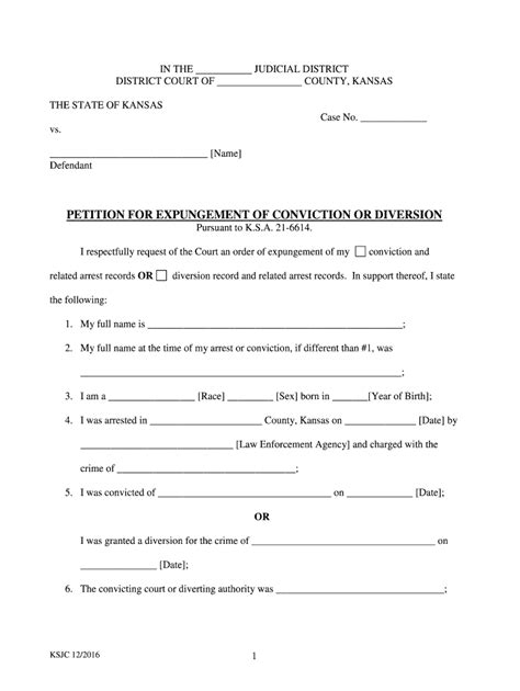 Expungement Diversion Fill Online Printable Fillable Blank Pdffiller