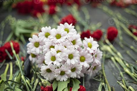 Flowers on memorial. Bouquet of flowers on gravestone. 12684179 Stock ...