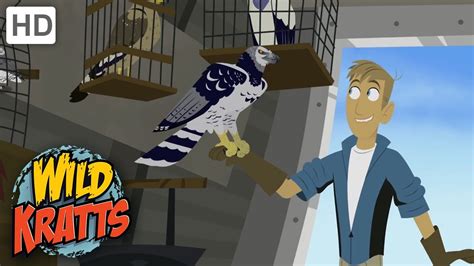 Wild Kratts Creatures That Flywildlife Youtube