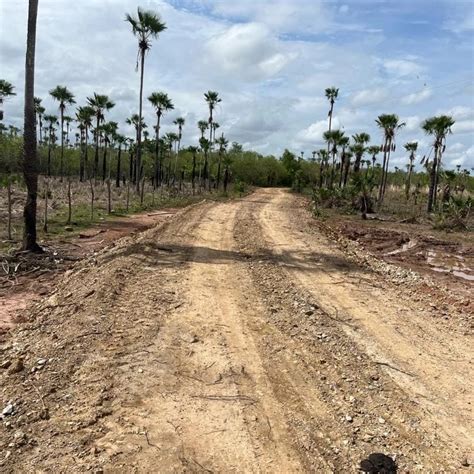 Prefeito Genival Bezerra Vistoria Obras De Estradas Vicinais Em Joaquim